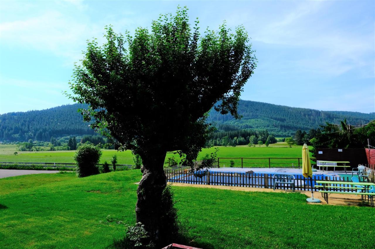B Und B Titisee Hotel Sonnenmatte Nahe Badeparadies Zewnętrze zdjęcie